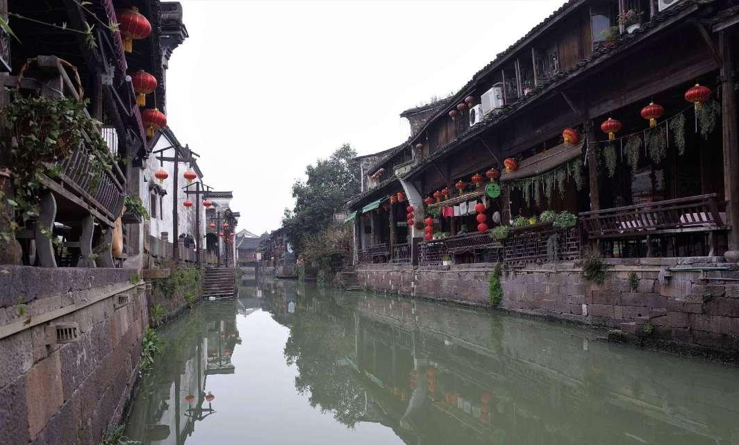 拯救落难小鸟